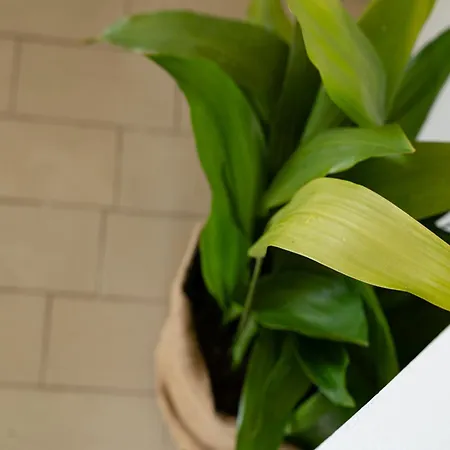 Apartment Konak Appartamento *