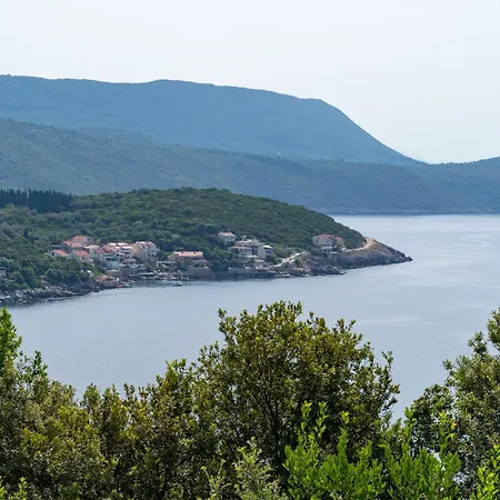 Apartment Konak Molunat