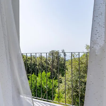 Apartment Konak Appartamento