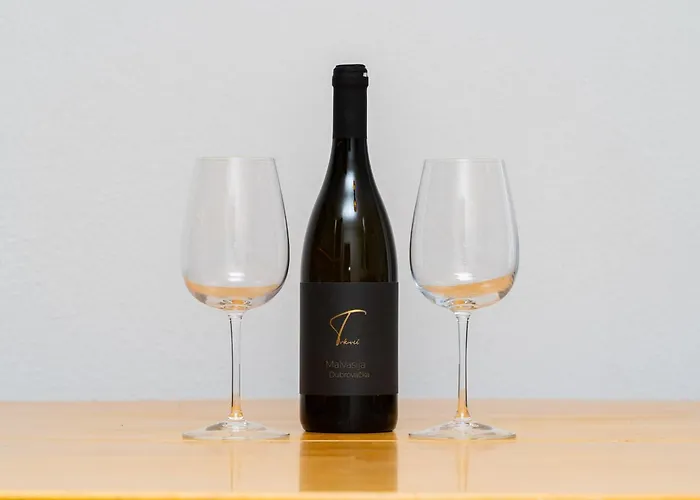 Apartment Konak 公寓 莫鲁纳特