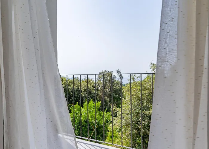 Apartment Konak 公寓